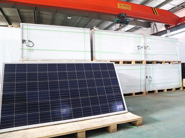 ���͌Ӱ�؛��